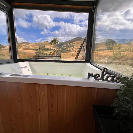 Wild Nest Deer Lux *