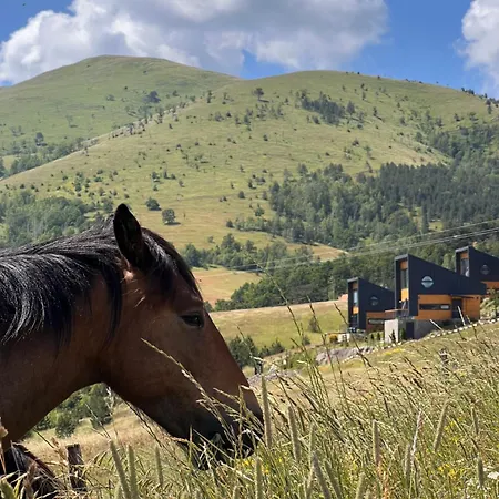 Wild Nest Deer Lux Case de vacanță Zlatibor