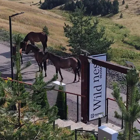 Wild Nest Deer Lux Case de vacanță Zlatibor